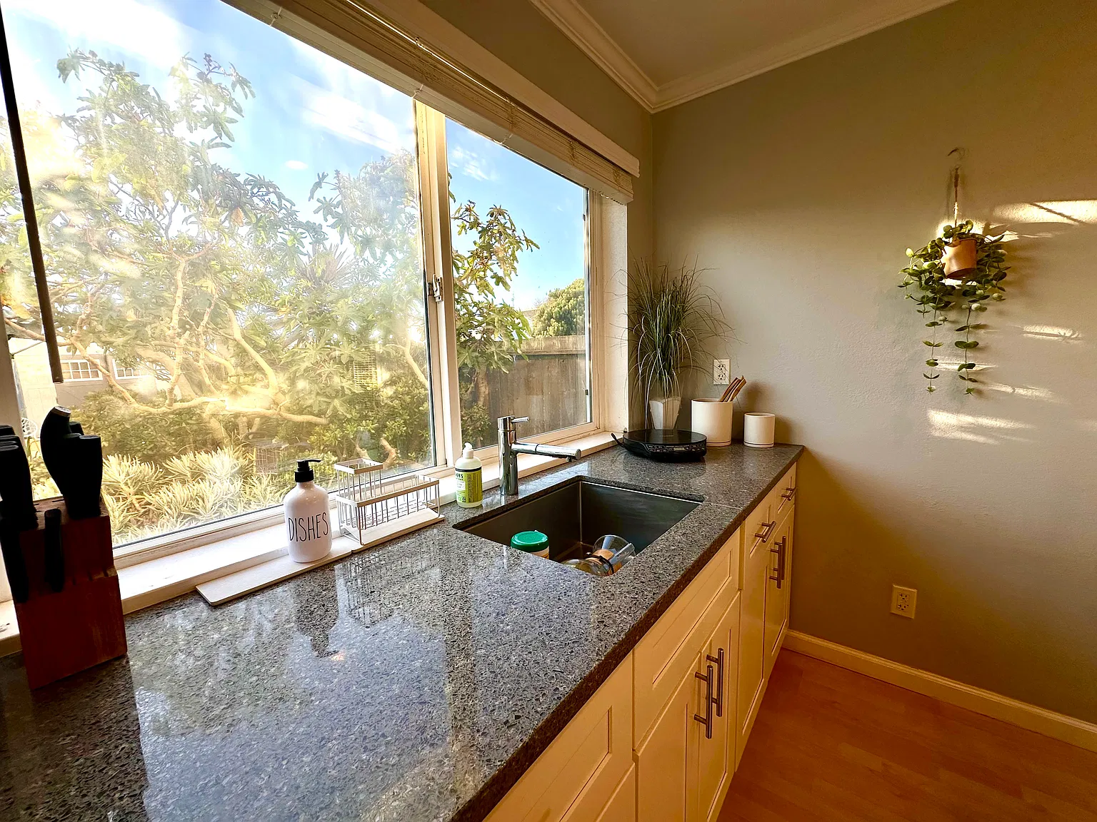 2 bed, 600 sqft, $3,195 — Photo 4