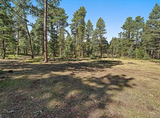 0 Evergreen Drive, Conifer, CO 80433
