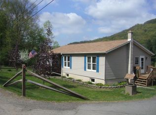 975 Peas Eddy Rd, Hancock, NY 13783