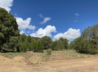 10 Georgetown Rd #1, Hanover, NM 88041