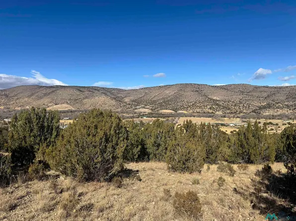 140 Manfor Rd, San Patricio, NM 88348