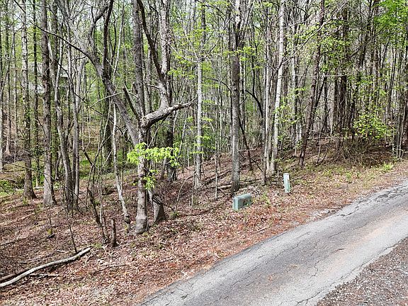 3rd image of 0 Shenandoah Dr