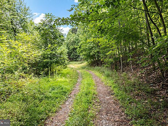 4th image of LOT 7 Panther Ln