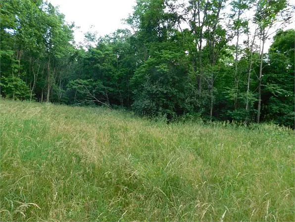 Misty Meadows Ln photo 1