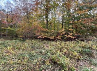 0 Stone Lick Rd, Kenna, WV 25248