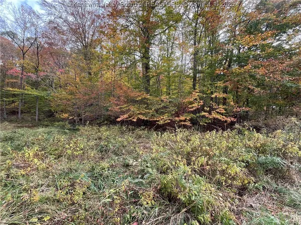 0 Stone Lick Rd, Kenna, WV 25248