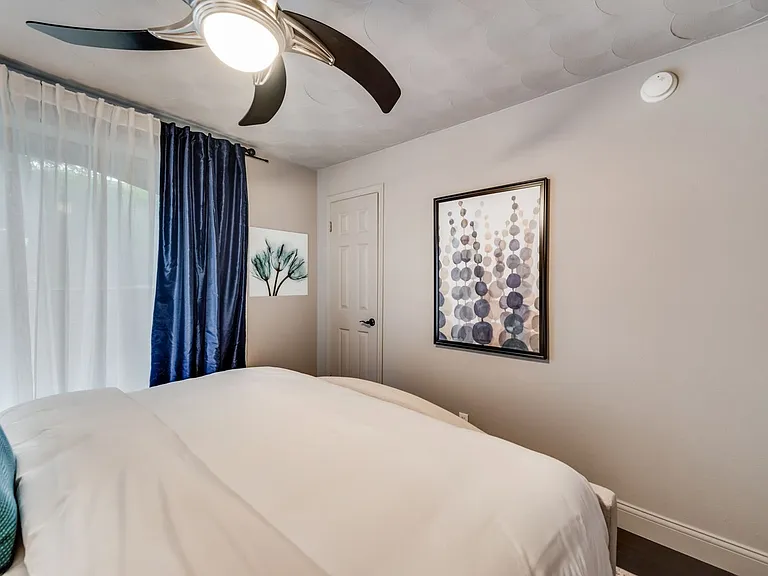 Fox Trott — Photo 524