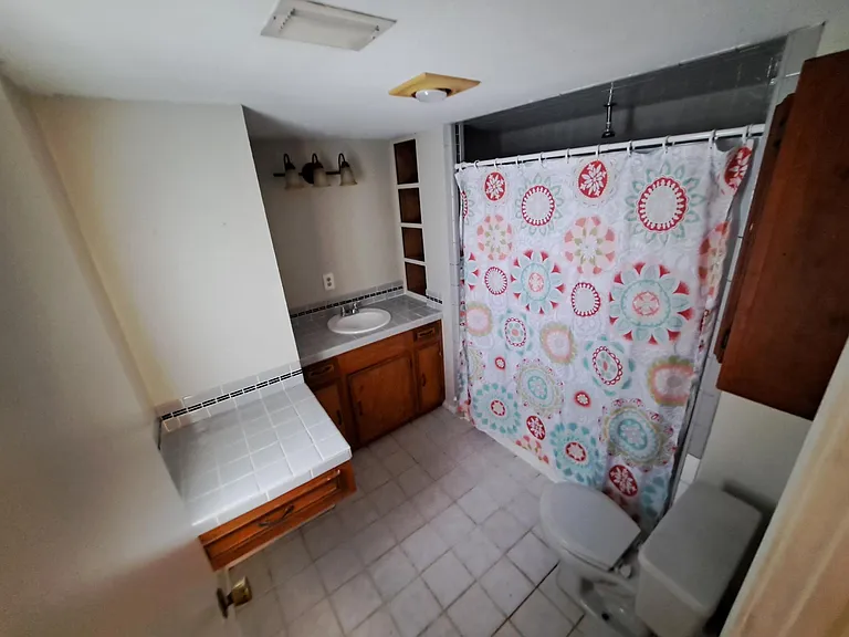 Master Bedroom Bath