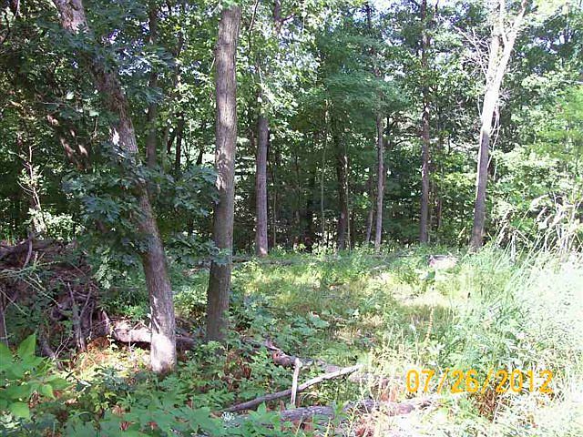 2nd image of 15506 Holiday Rd