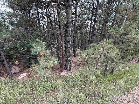 2nd image of Lot 158 Aspen Pl