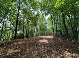 3359 Mulberry Rd, Otto, NC 28763