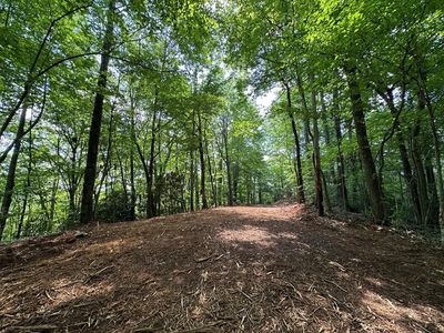 3359 Mulberry Rd, Otto, NC, 28763