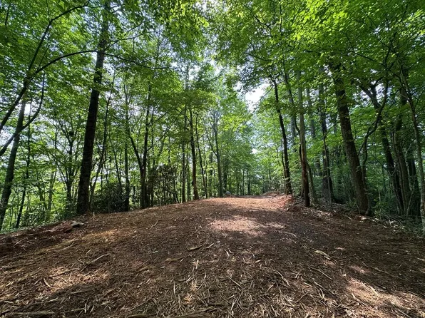3359 Mulberry Rd, Otto, NC 28763