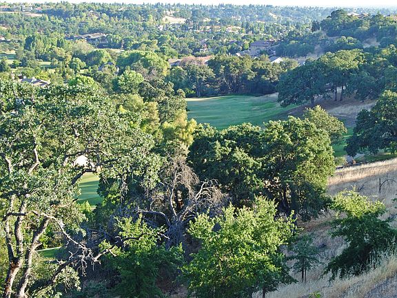 5th image of 3251 Black Oak Dr