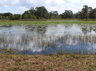 McKinley Rd, Eustis, FL 32726