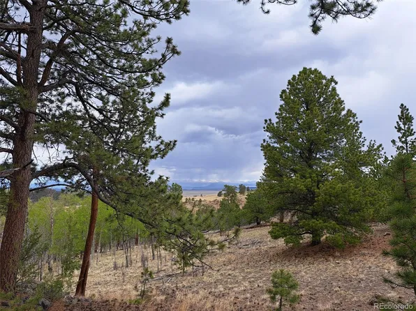00 Dog Soldier Trail, Hartsel, CO 80449