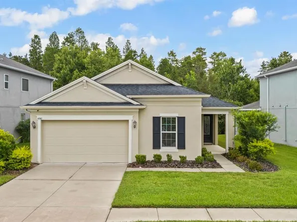 4742 Rolling Greene Dr, Wesley Chapel, FL 33543
