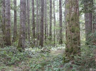 260 N Duckabush Dr W, Hoodsport, WA 98548