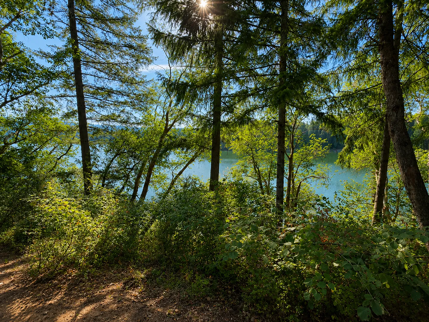 Renovated Clearwood Townhome with Lake Views — Photo 4