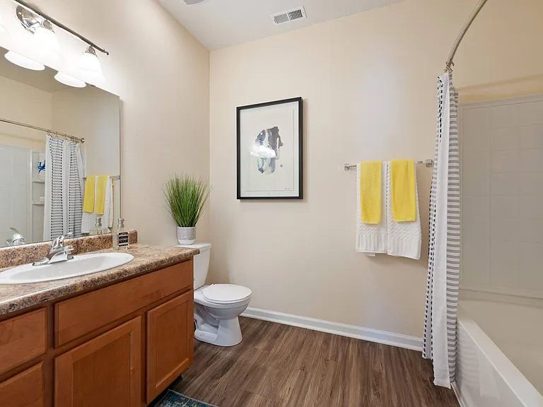 Full Bathroom with Cabinet Storage