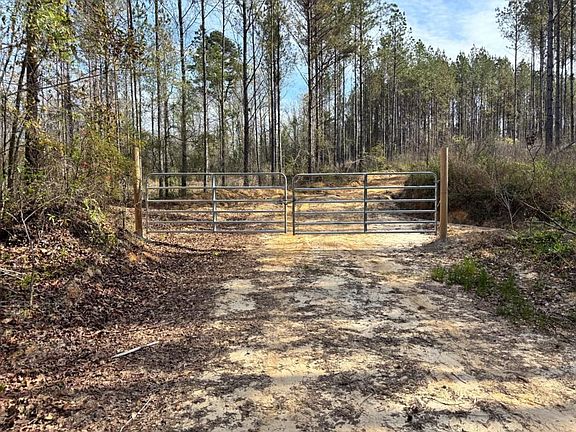 2nd image of 0 County Road 142