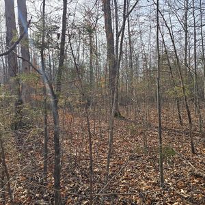 LOT 3 York Hwy, Hilham, TN, 38568