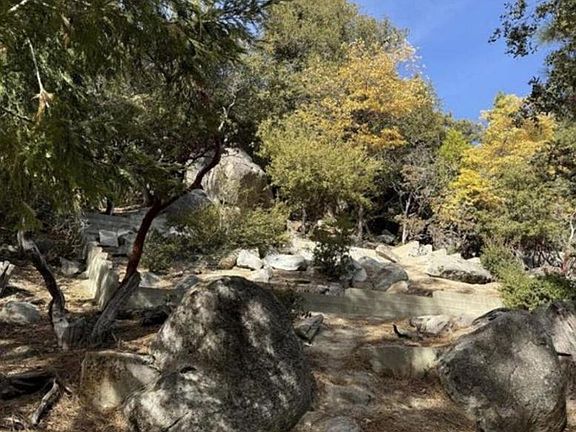 2nd image of 53642 Jeffrey Pine Rd