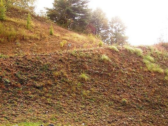 4th image of 21 Silver Springs