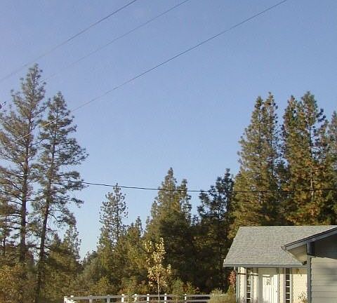 PRIVATE IN THE PINES