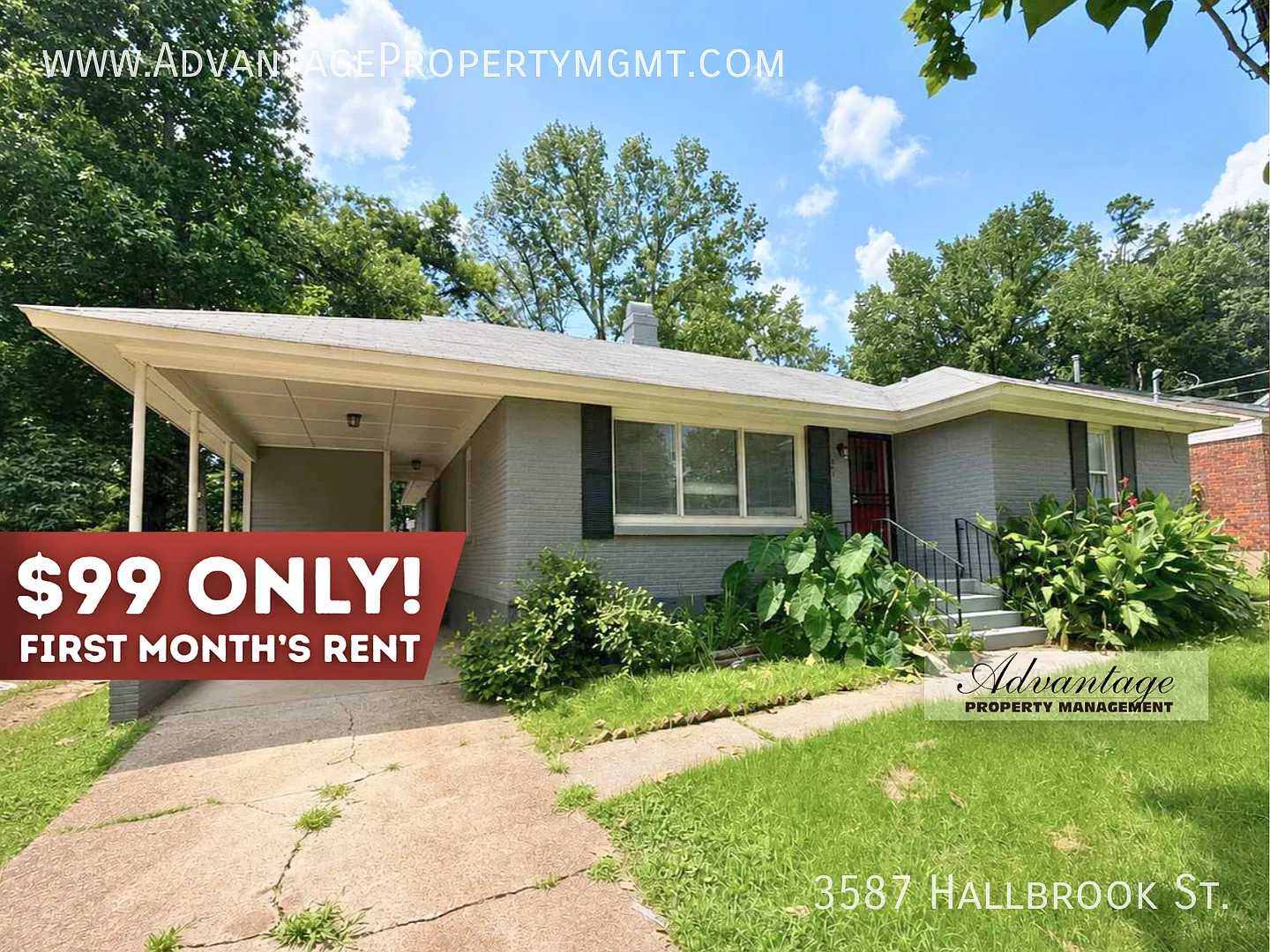 Modern 3 Bedroom/1 Bath Home - 3587 Hallbrook St. — Photo 1