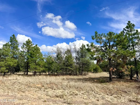 7112 HORIZON Circle #101, Happy Jack, AZ 86024