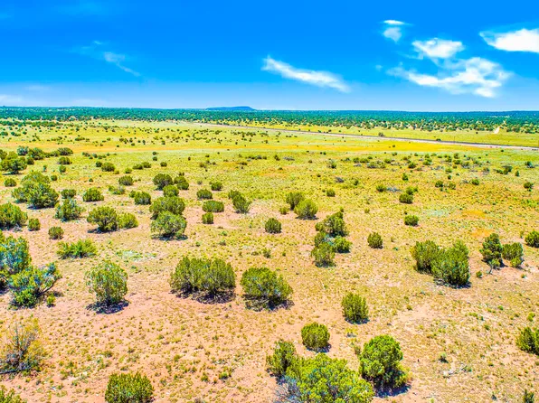 Antelope Valley Ranches Lot 470 -- #470, Seligman, AZ 86337
