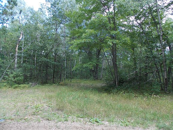 2nd image of Lot 1197 Forest
