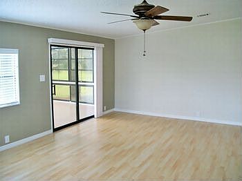 Picture5