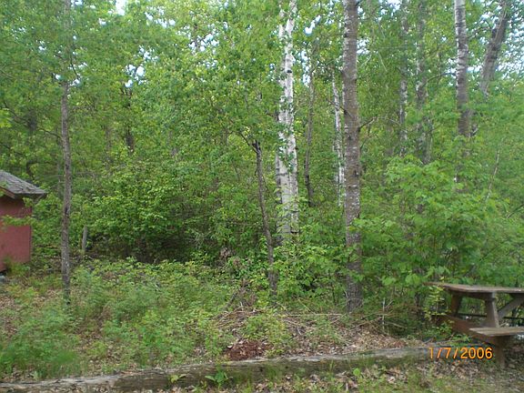 5th image of 30667 Plumwood Trl