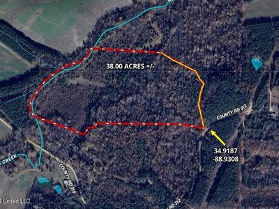 312 Cr, Walnut, MS, 38683