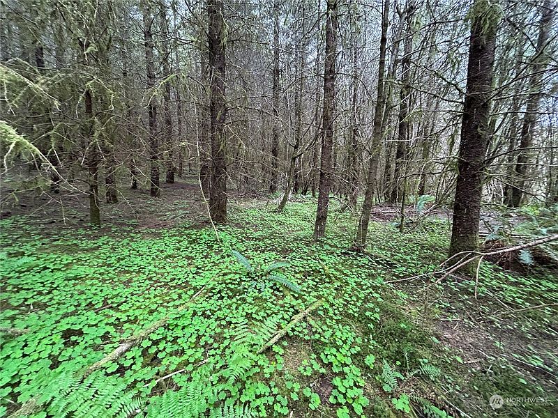 2nd image of 0 Lot 4 Abernathy Creek Road