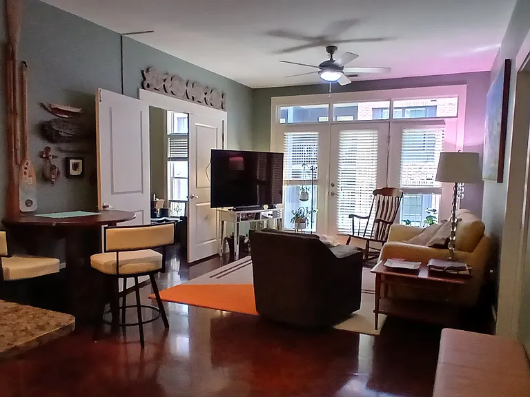 Living Room View (Different View)