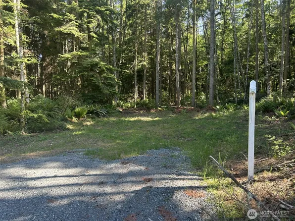 0 xxx Forest View Lane, Greenbank, WA 98253