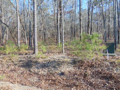 20 Parklin Ln, Elloree, SC, 29047