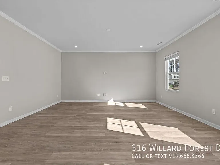 316 Willard Forest Dr — Photo 20