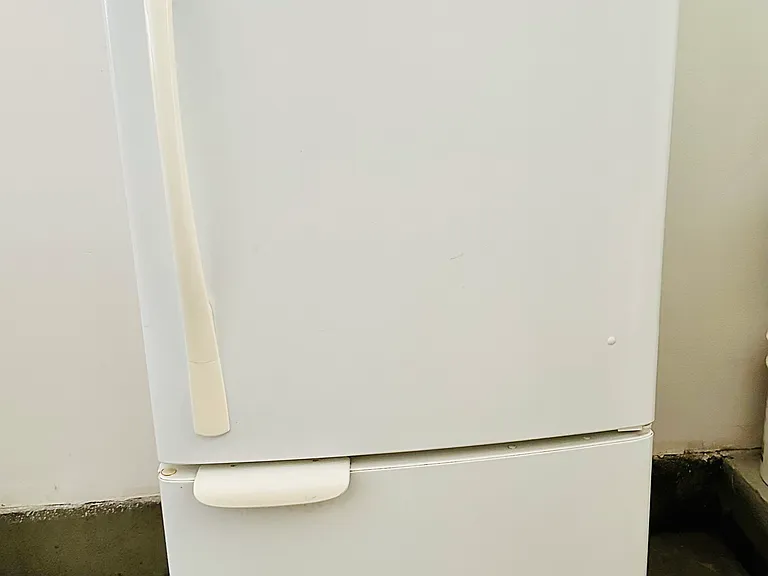 2nd full-size fridge/freezer in garage