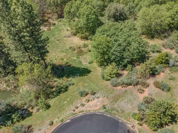 241 Red Apple Dr, Murphys, CA 95247