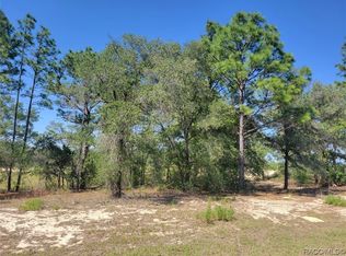 6796 N Pavilion Loop, Citrus Springs, FL 34433