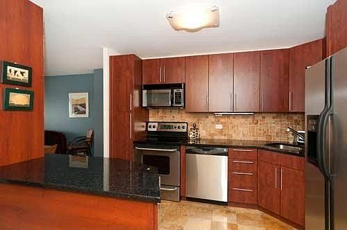 5th image of 1660 N Lasalle St APT 3908