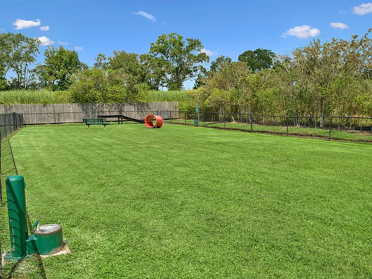 Bayou Reserve — Photo 45