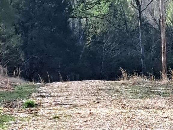 4th image of Tr3 ,Tr4b Vista Lane