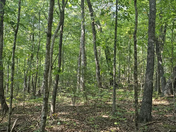 266 Cove Hill Rd, Pikeville, TN 37367