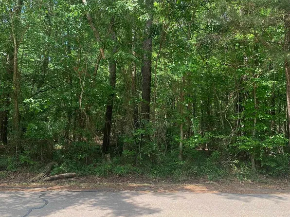 Winfield Ben Dr, Walker, LA 70785