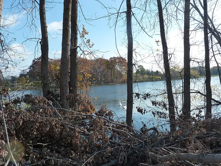 LAKE VIEW FROM TRAIL
